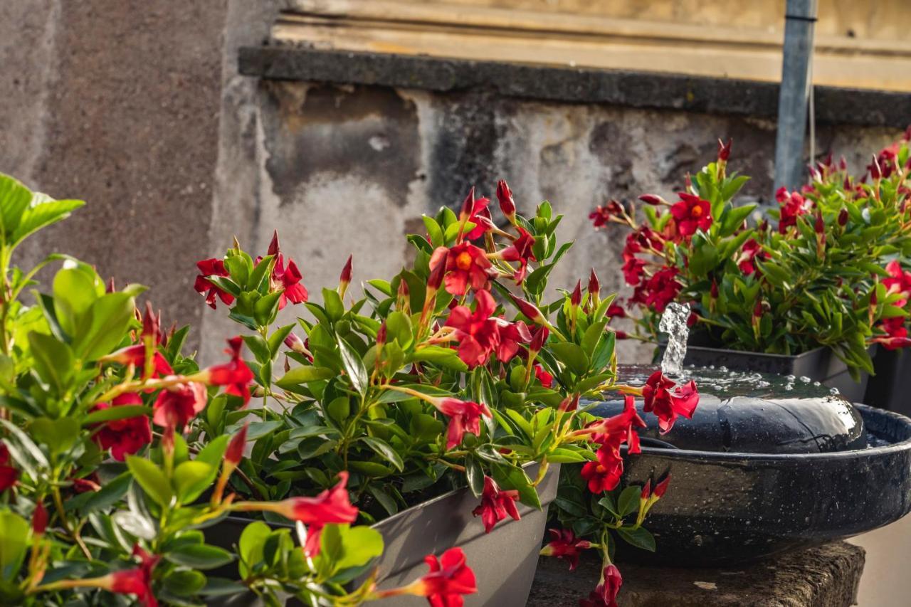 Ag Spanish Steps Terrace Rome Bagian luar foto